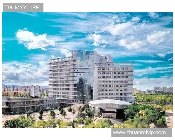 深圳排球队的辉煌征程与突破成就全景回顾