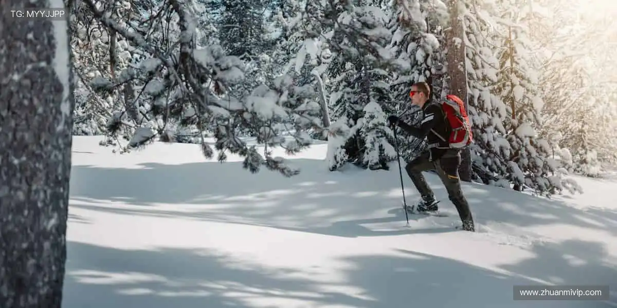 🏀 巅峰之战，不容错过！全球赛事同步直播，零时差感受速度与激情！